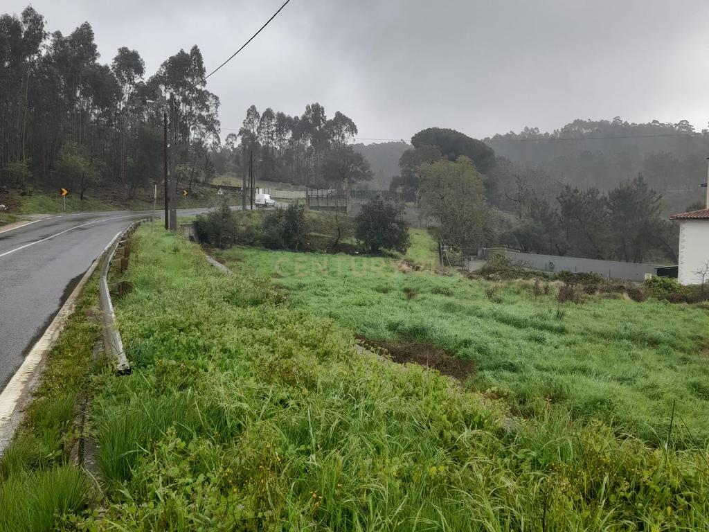 Terreno para Construção de Moradia/Moradias na Estrada Batalha-Fátima - Image 9