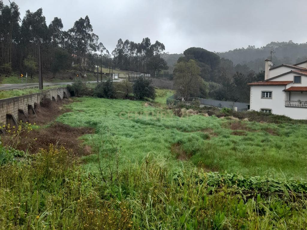Terreno para Construção de Moradia/Moradias na Estrada Batalha-Fátima - Image 15