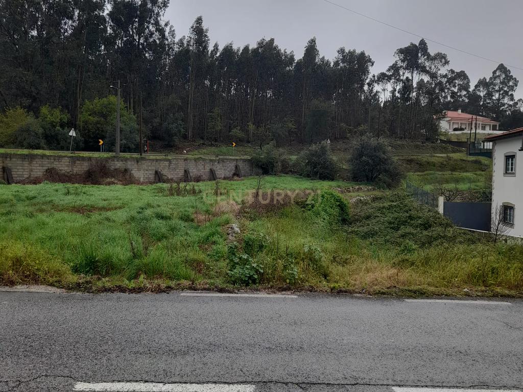Terreno para Construção de Moradia/Moradias na Estrada Batalha-Fátima - Image 11