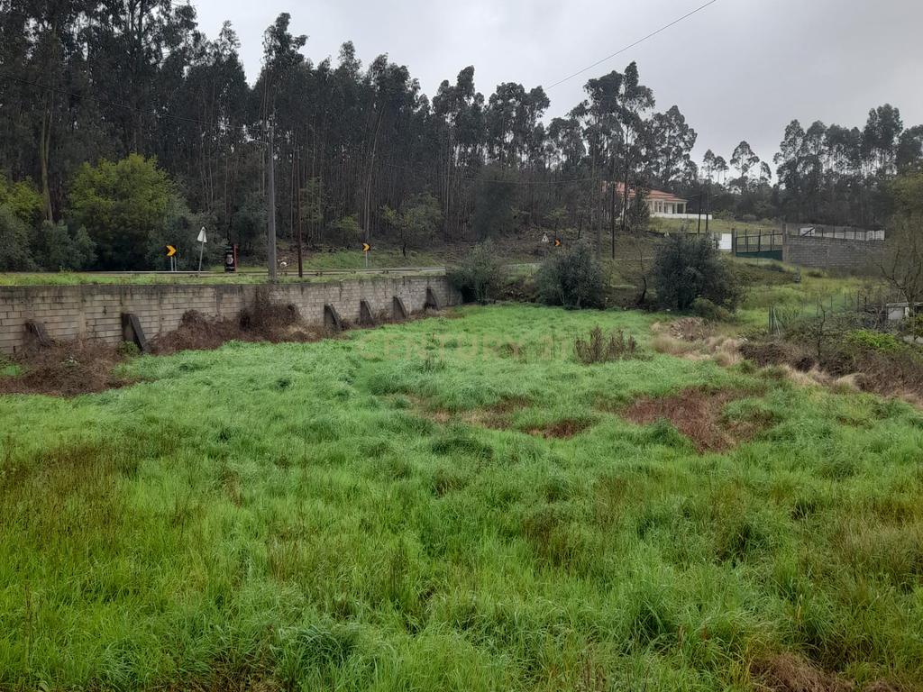 Terreno para Construção de Moradia/Moradias na Estrada Batalha-Fátima - Image 12