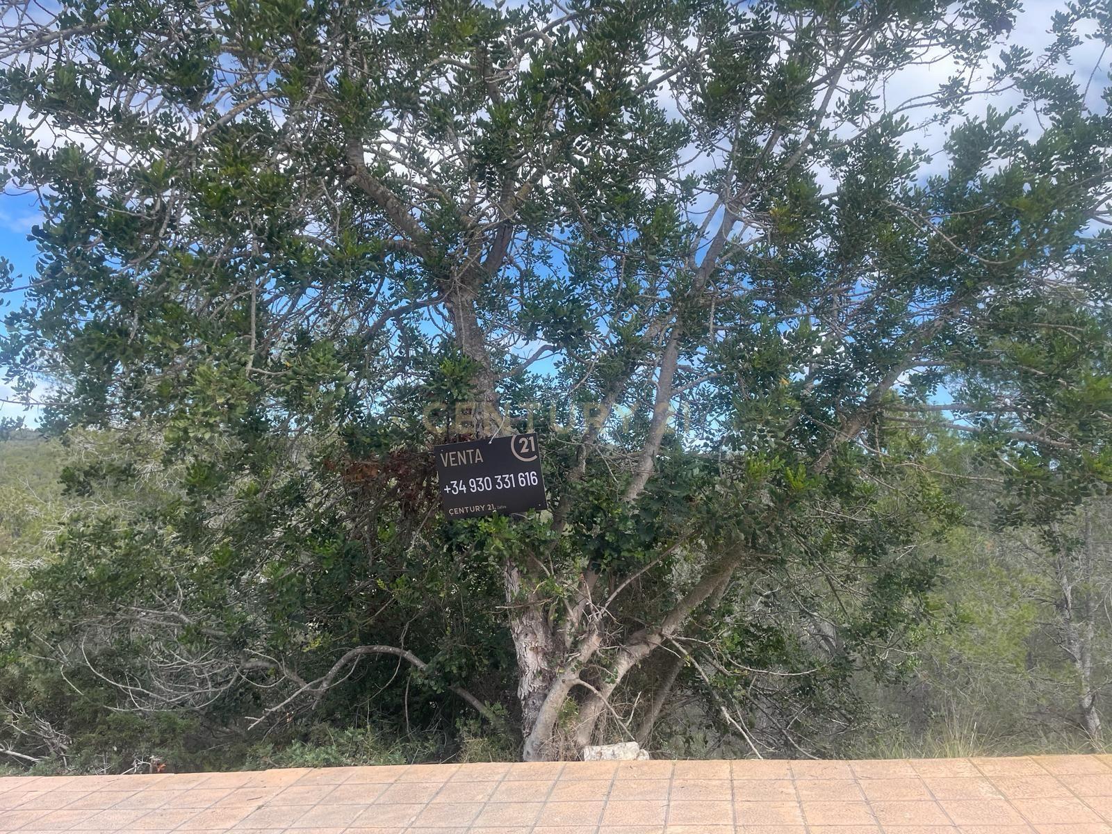 undefined - Image 6