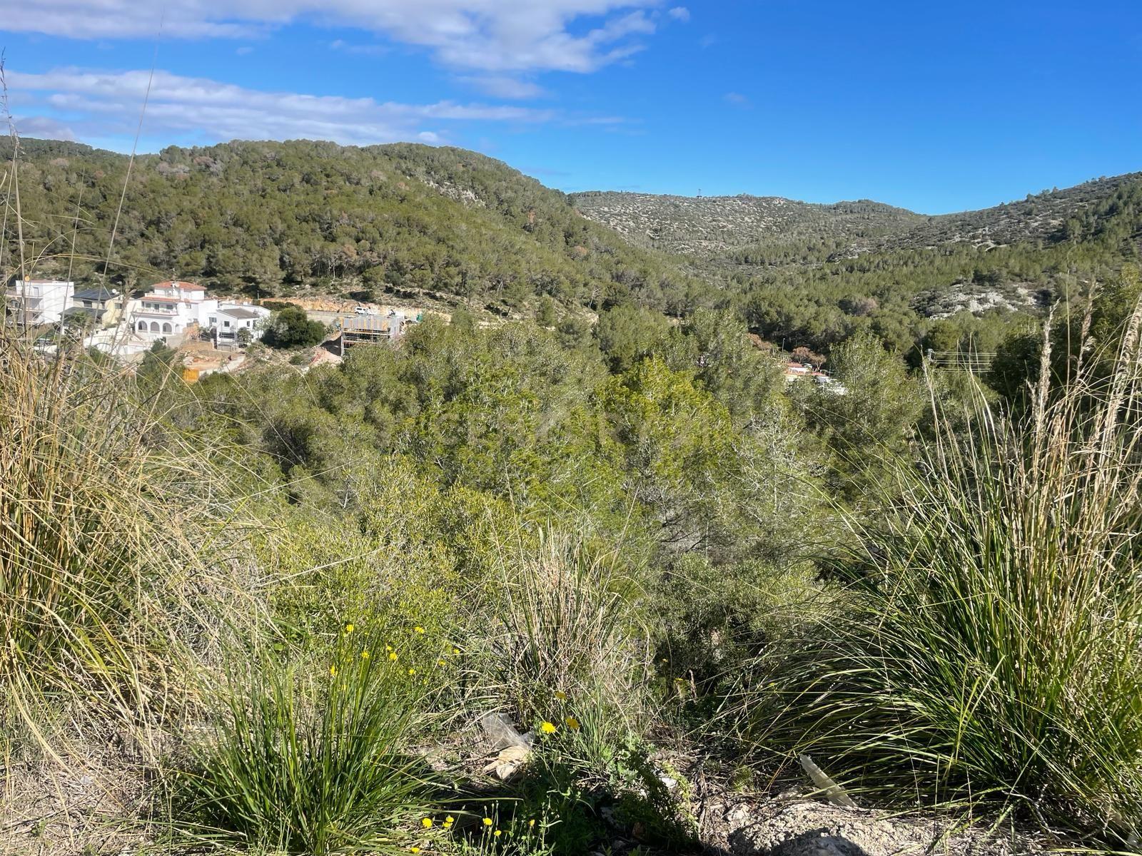 undefined - Image 16