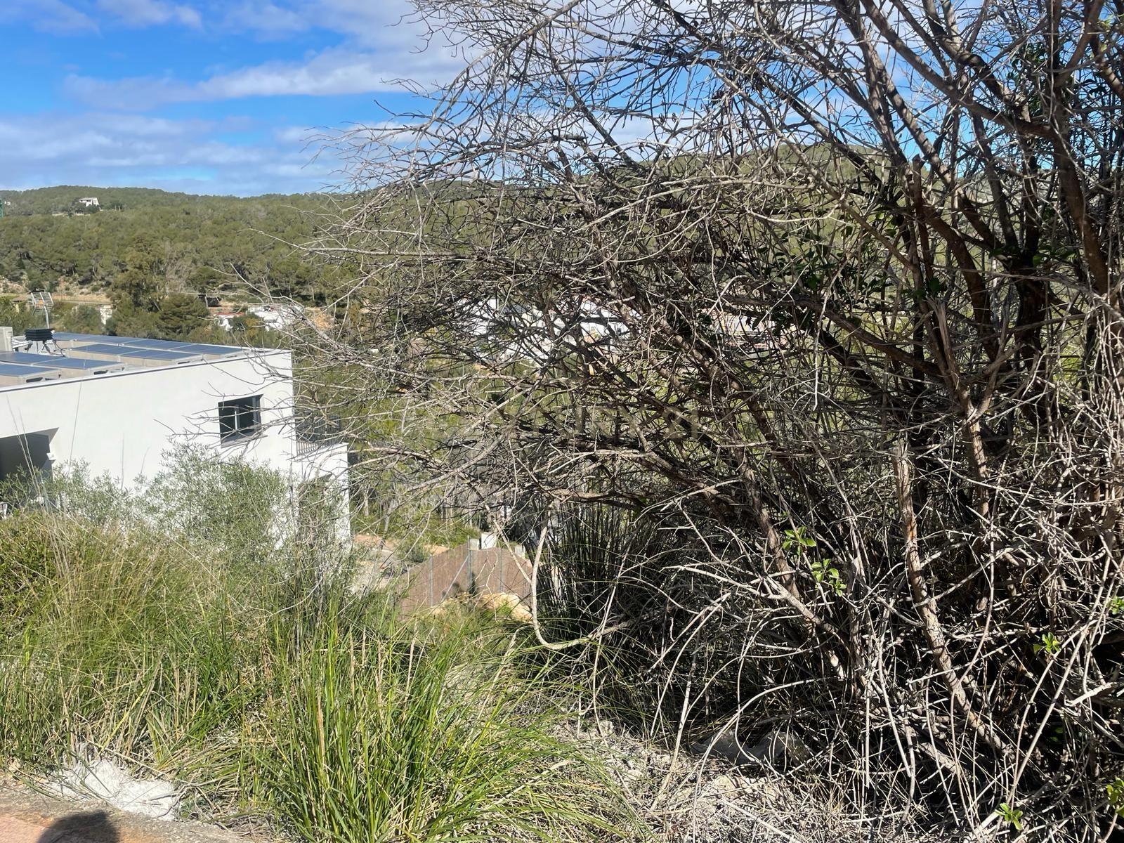 undefined - Image 8
