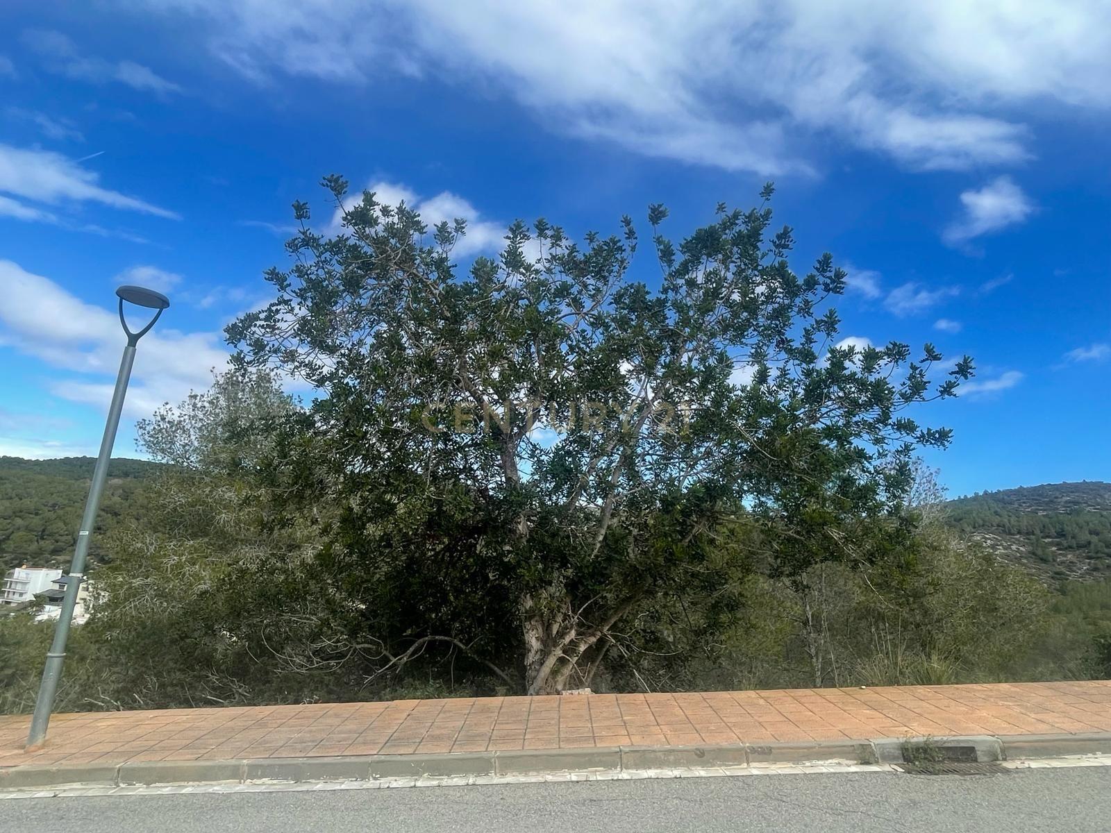 undefined - Image 4
