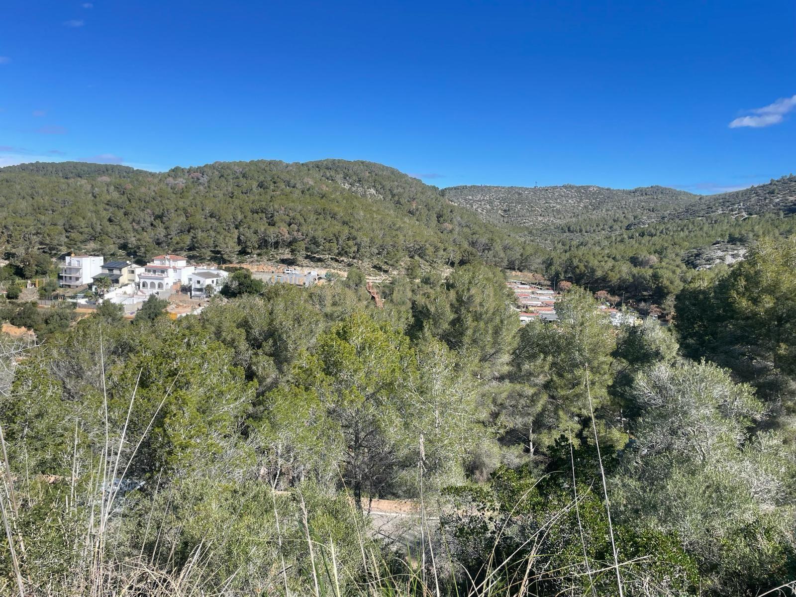 undefined - Image 15