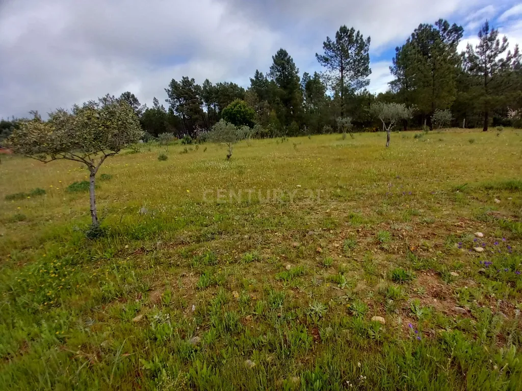 Terreno Rustico Ninho do Açor - Image 13