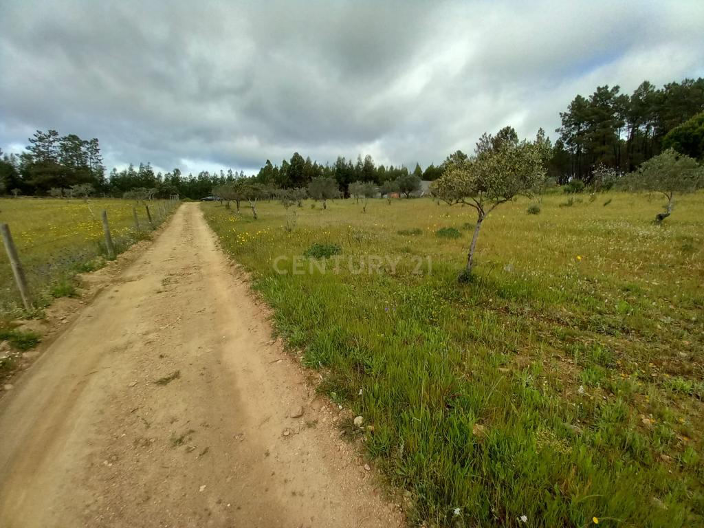 Terreno Rustico Ninho do Açor - Image 12