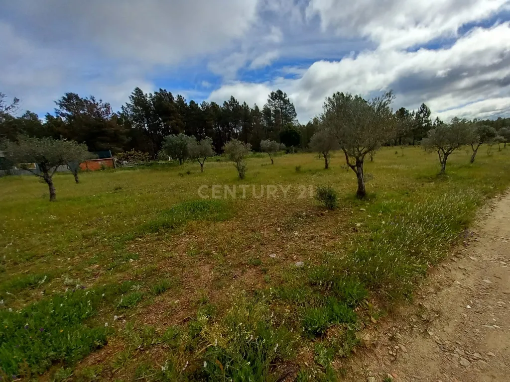 Terreno Rustico Ninho do Açor - Image 15