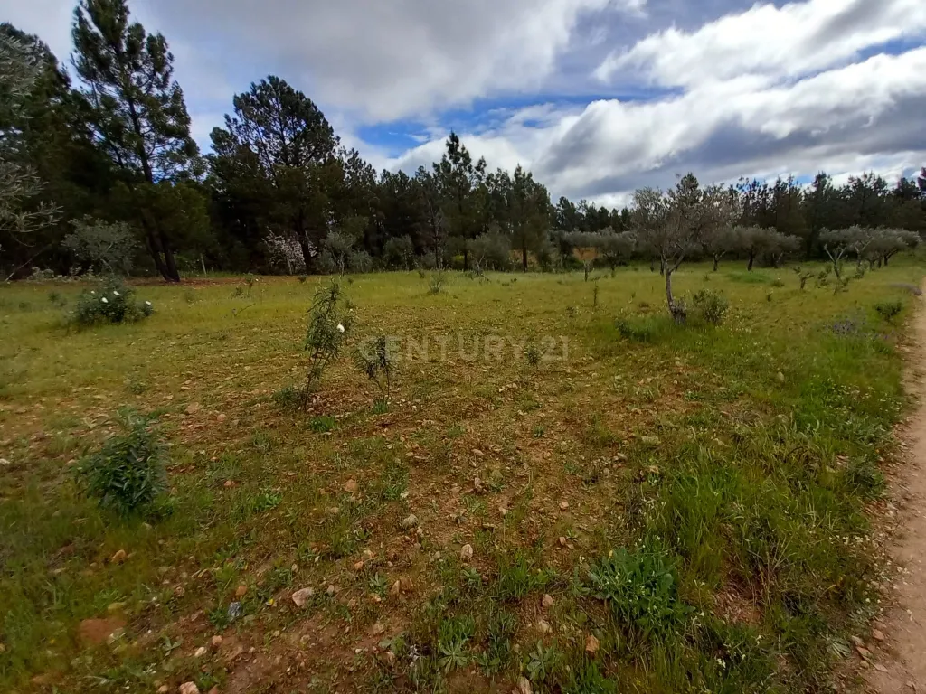 Terreno Rustico Ninho do Açor - Image 11