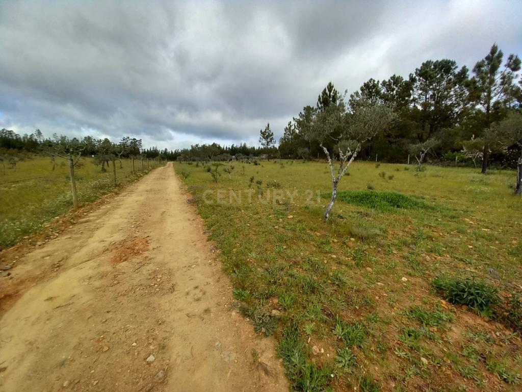Terreno Rustico Ninho do Açor - Image 10