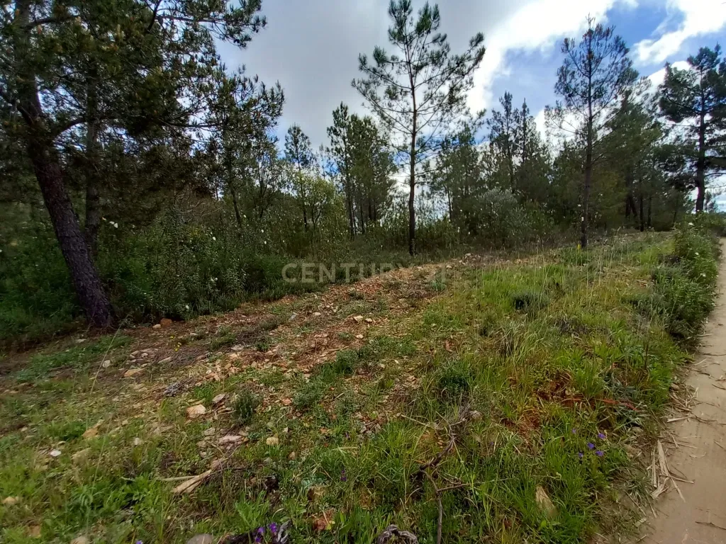 Terreno Rustico Ninho do Açor - Image 7