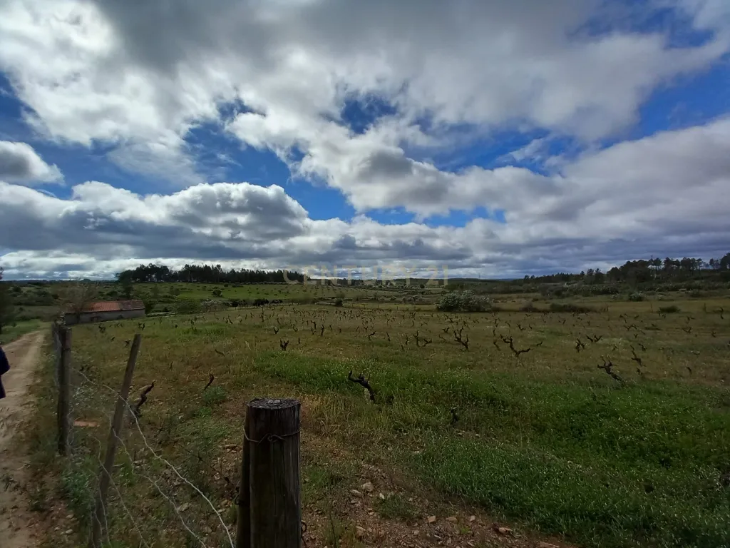 Terreno Rustico Ninho do Açor - Image 6