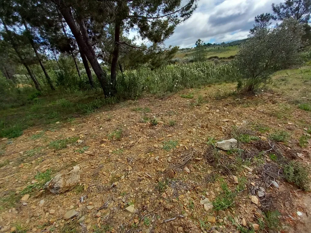 Terreno Rustico Ninho do Açor - Image 4
