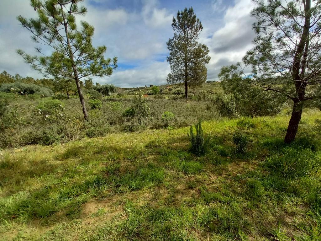Terreno Rustico Ninho do Açor - Image 18