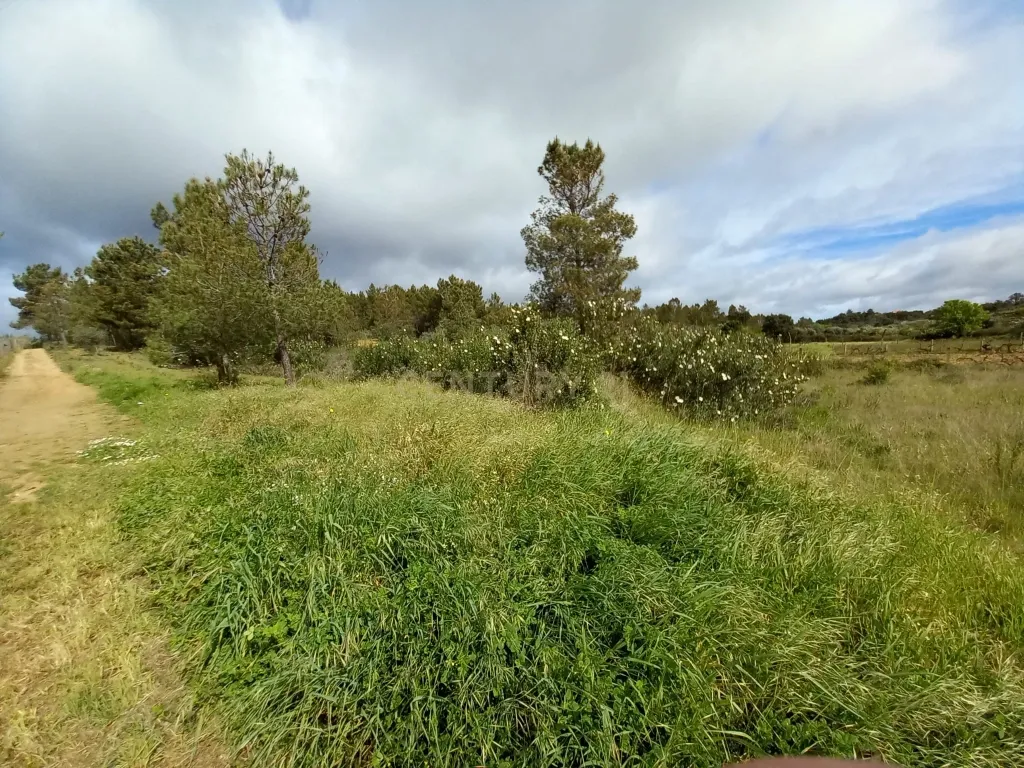 Terreno Rustico Ninho do Açor - Image 14