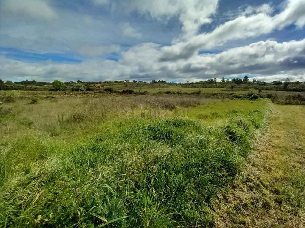 Terreno Rustico Ninho do Açor - Image 1