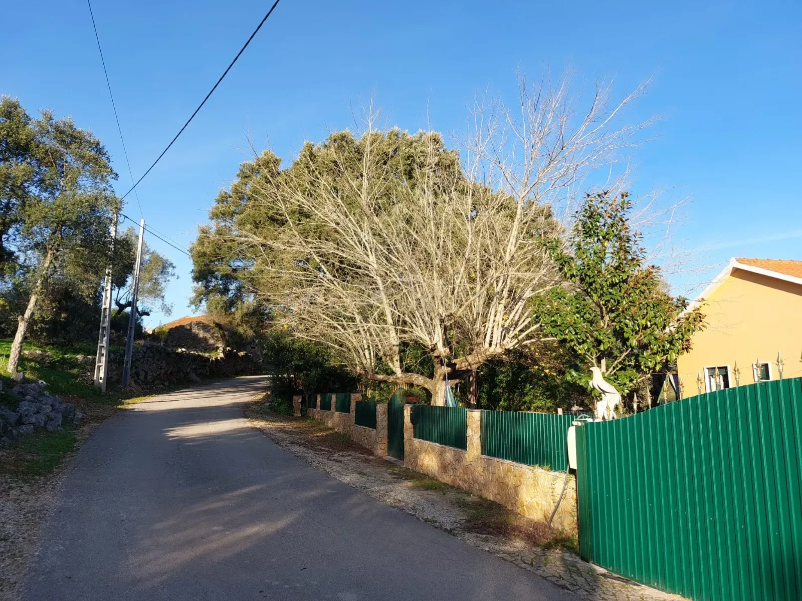 Ruína em Pedra - Oportunidade de Investimento em Abrã, Santarém. - Image 14