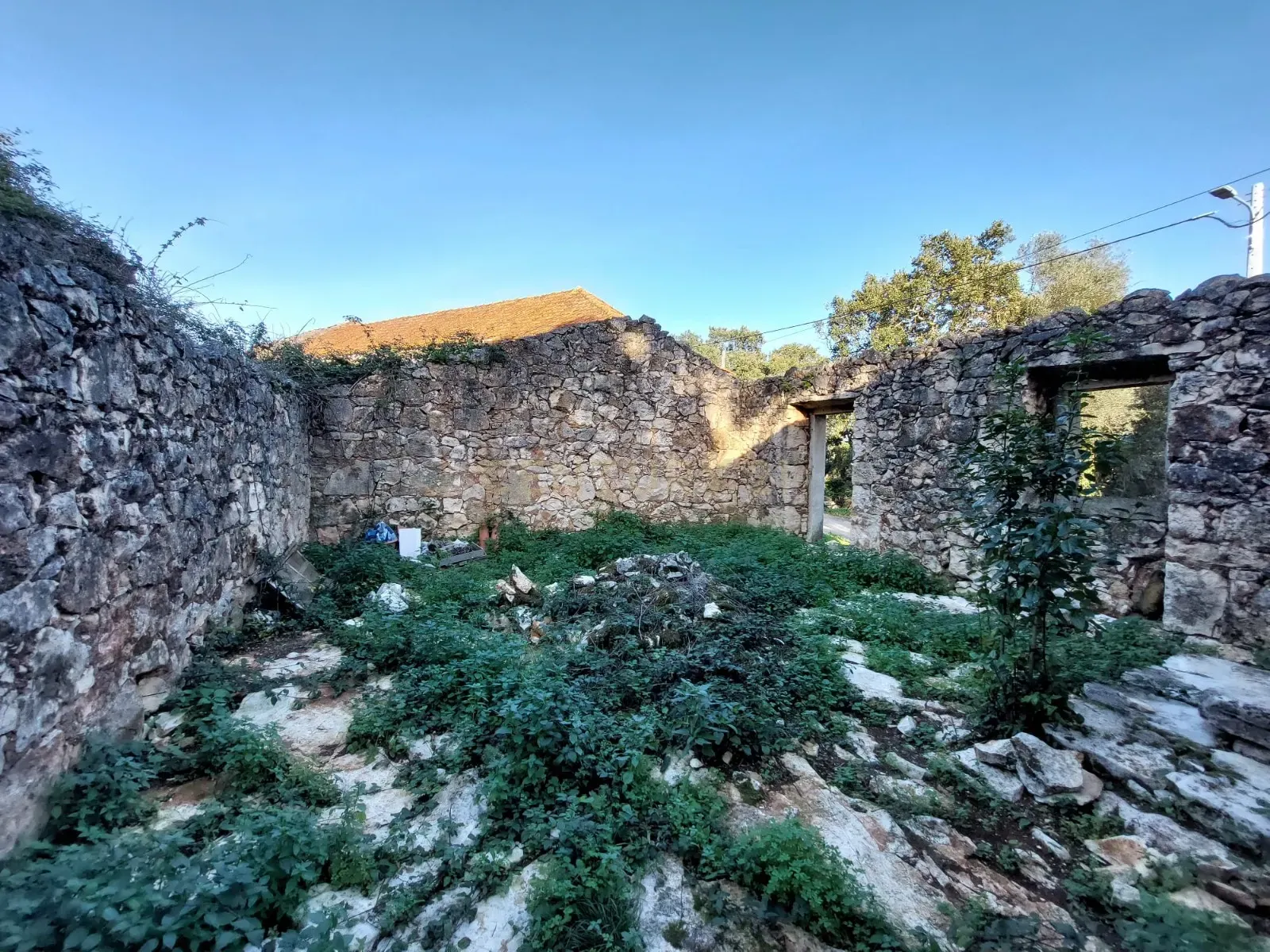 Ruína em Pedra - Oportunidade de Investimento em Abrã, Santarém. - Image 4