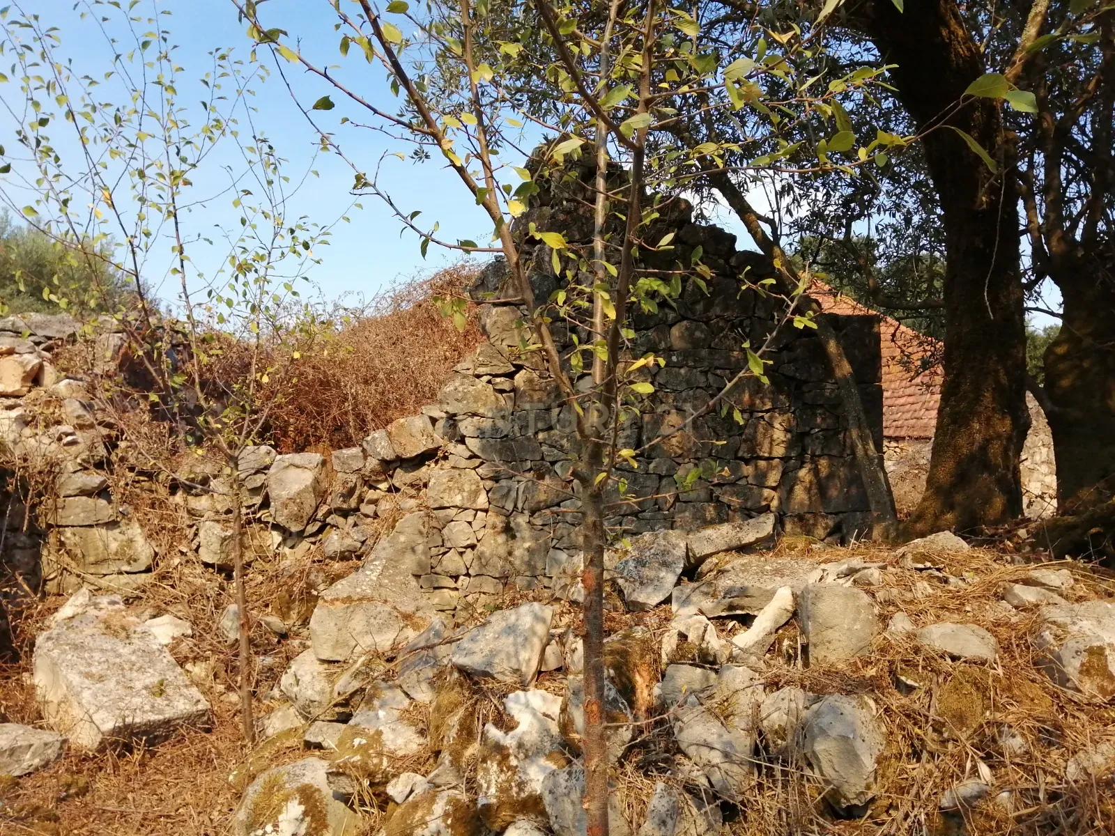 Ruína em Pedra - Oportunidade de Investimento em Abrã, Santarém. - Image 6