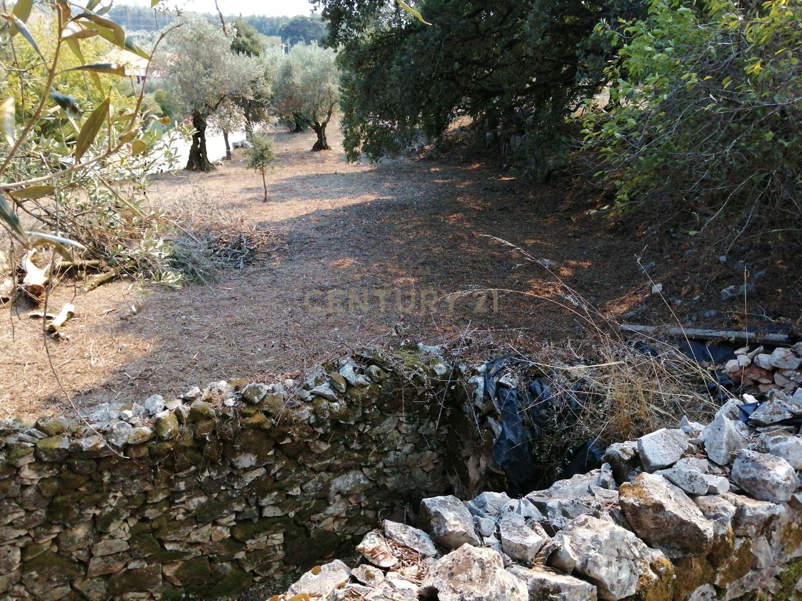 Ruína em Pedra - Oportunidade de Investimento em Abrã, Santarém. - Image 5