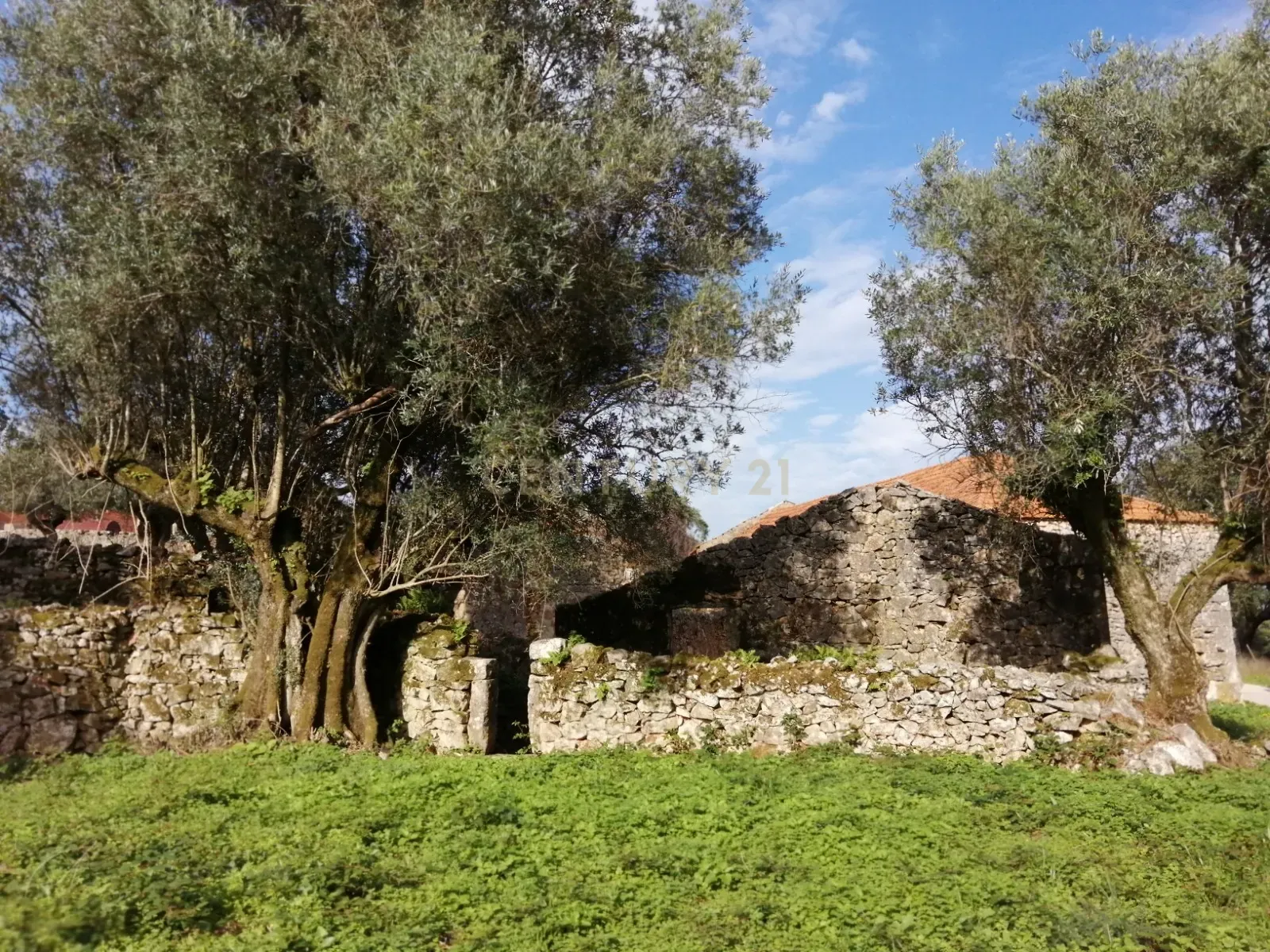 Ruína em Pedra - Oportunidade de Investimento em Abrã, Santarém. - Image 9