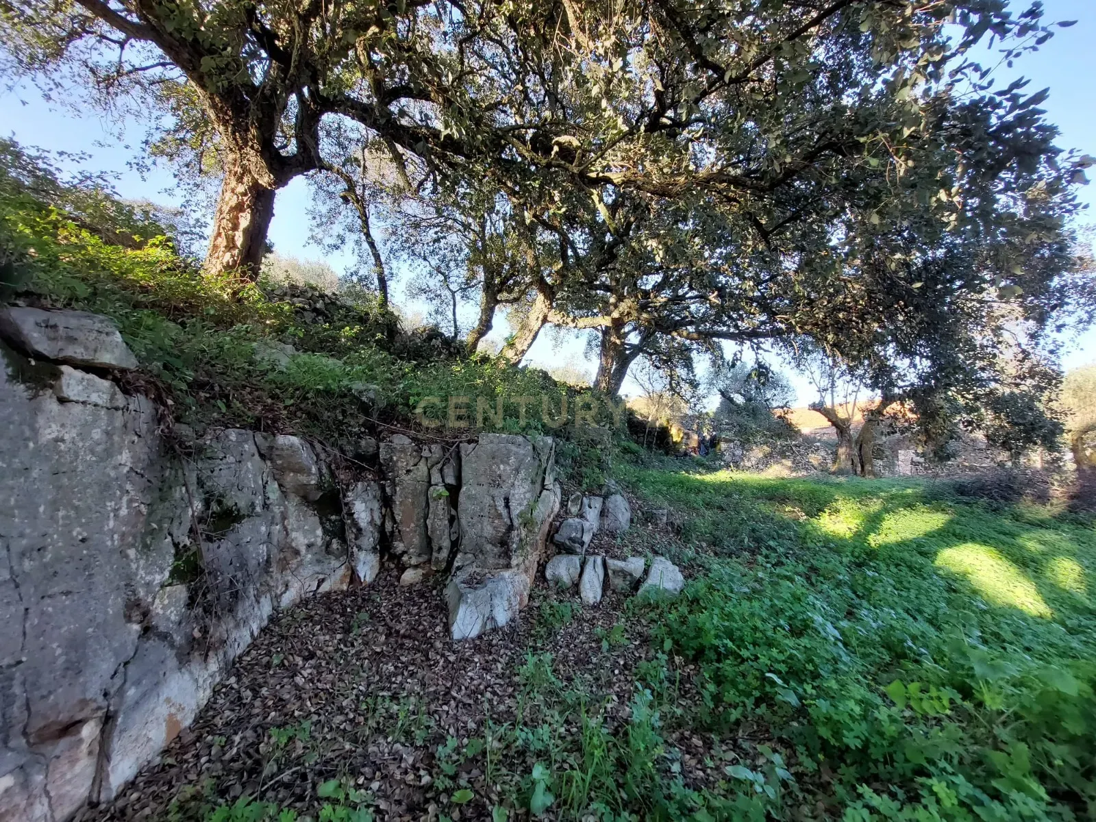 Ruína em Pedra - Oportunidade de Investimento em Abrã, Santarém. - Image 18