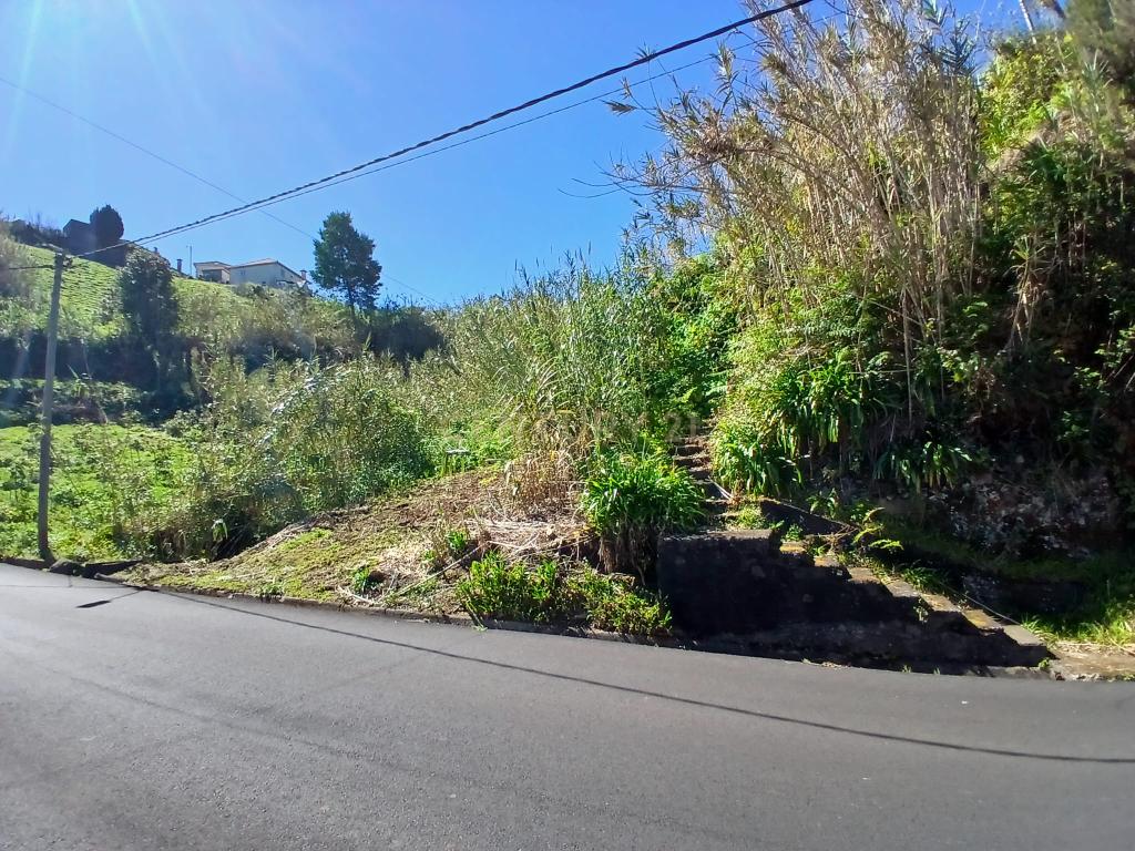 Casinha Típica de Santana, Madeira - Um Refúgio Rural com Potencial de Investimento - Image 28
