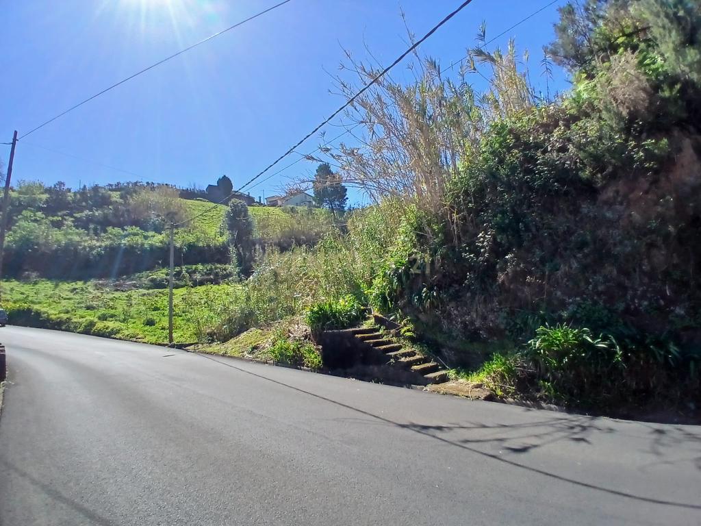 Casinha Típica de Santana, Madeira - Um Refúgio Rural com Potencial de Investimento - Image 29