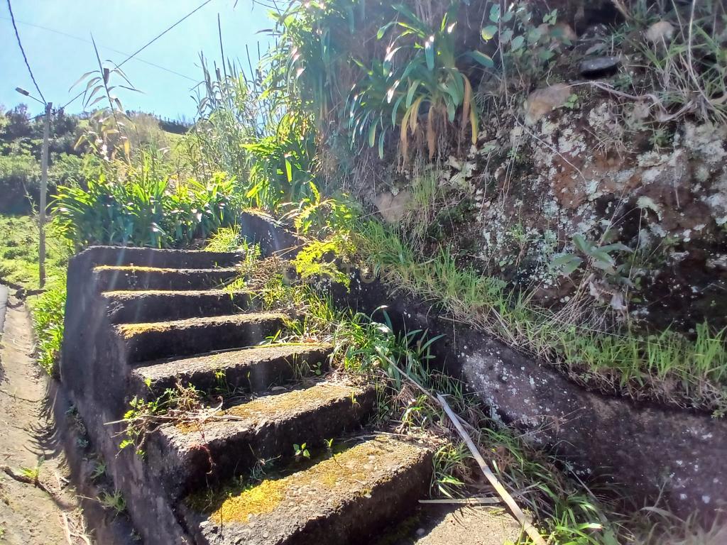 Casinha Típica de Santana, Madeira - Um Refúgio Rural com Potencial de Investimento - Image 27