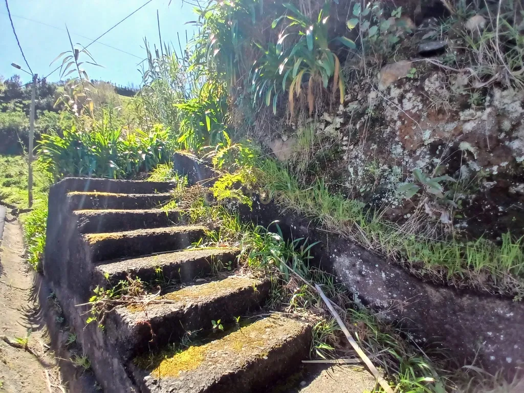 Casinha Típica de Santana, Madeira - Um Refúgio Rural com Potencial de Investimento - Image 27