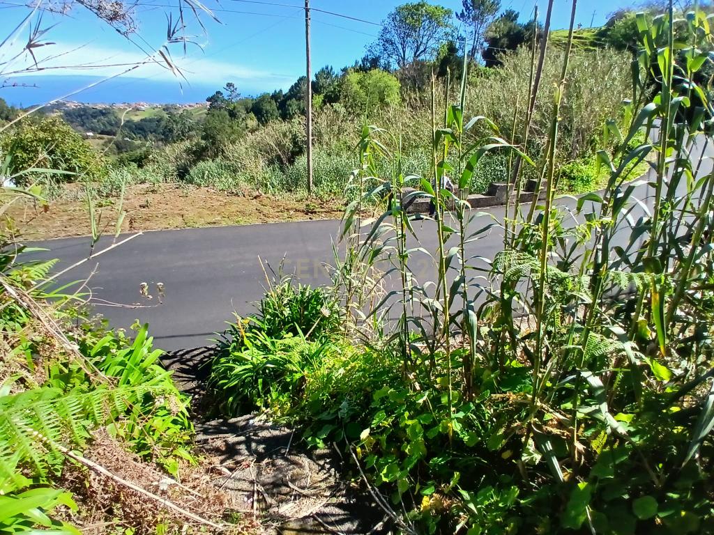 Casinha Típica de Santana, Madeira - Um Refúgio Rural com Potencial de Investimento - Image 25