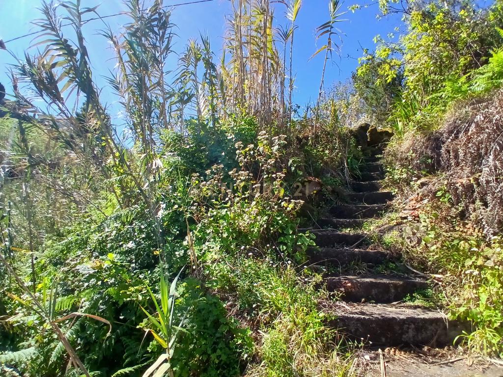 Casinha Típica de Santana, Madeira - Um Refúgio Rural com Potencial de Investimento - Image 26