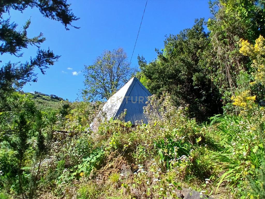 Casinha Típica de Santana, Madeira - Um Refúgio Rural com Potencial de Investimento - Image 5