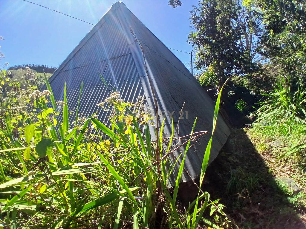 Casinha Típica de Santana, Madeira - Um Refúgio Rural com Potencial de Investimento - Image 6