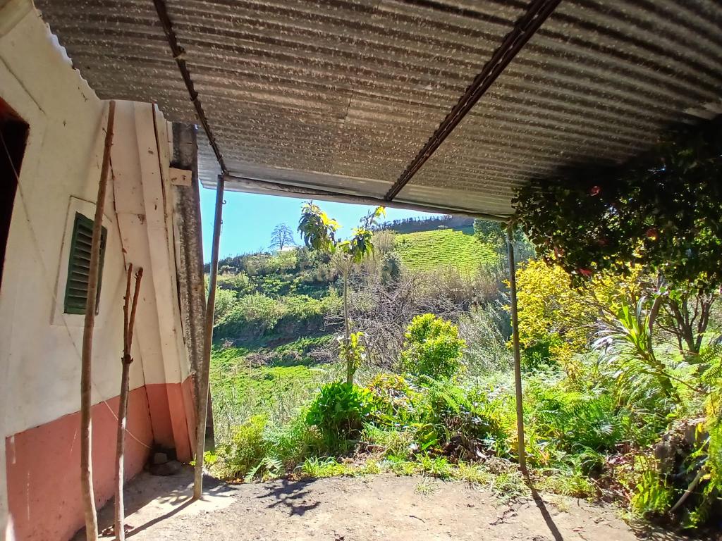 Casinha Típica de Santana, Madeira - Um Refúgio Rural com Potencial de Investimento - Image 4