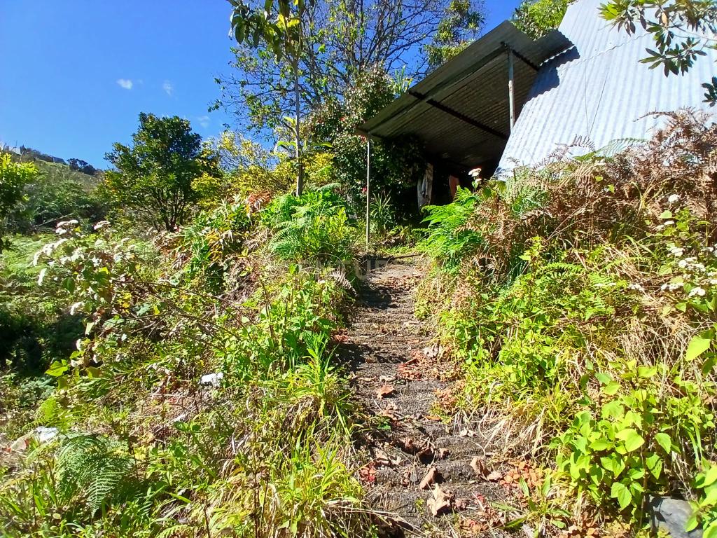 Casinha Típica de Santana, Madeira - Um Refúgio Rural com Potencial de Investimento - Image 7