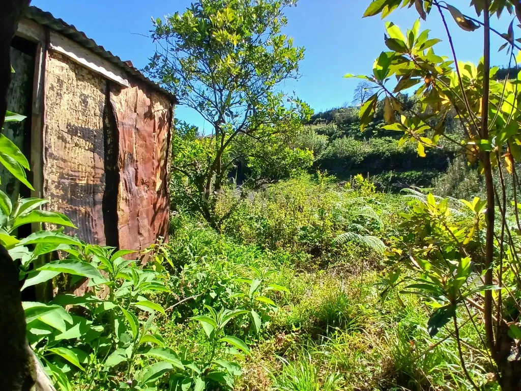 Casinha Típica de Santana, Madeira - Um Refúgio Rural com Potencial de Investimento - Image 20
