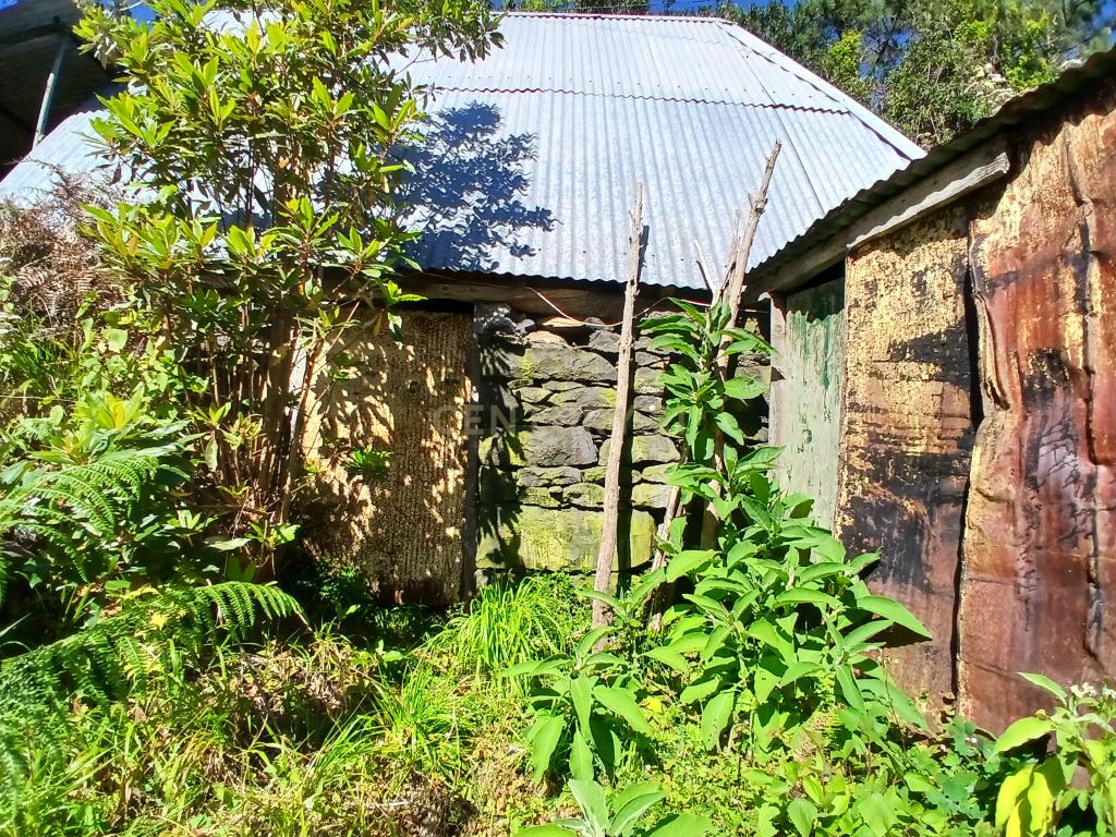 Casinha Típica de Santana, Madeira - Um Refúgio Rural com Potencial de Investimento - Image 21