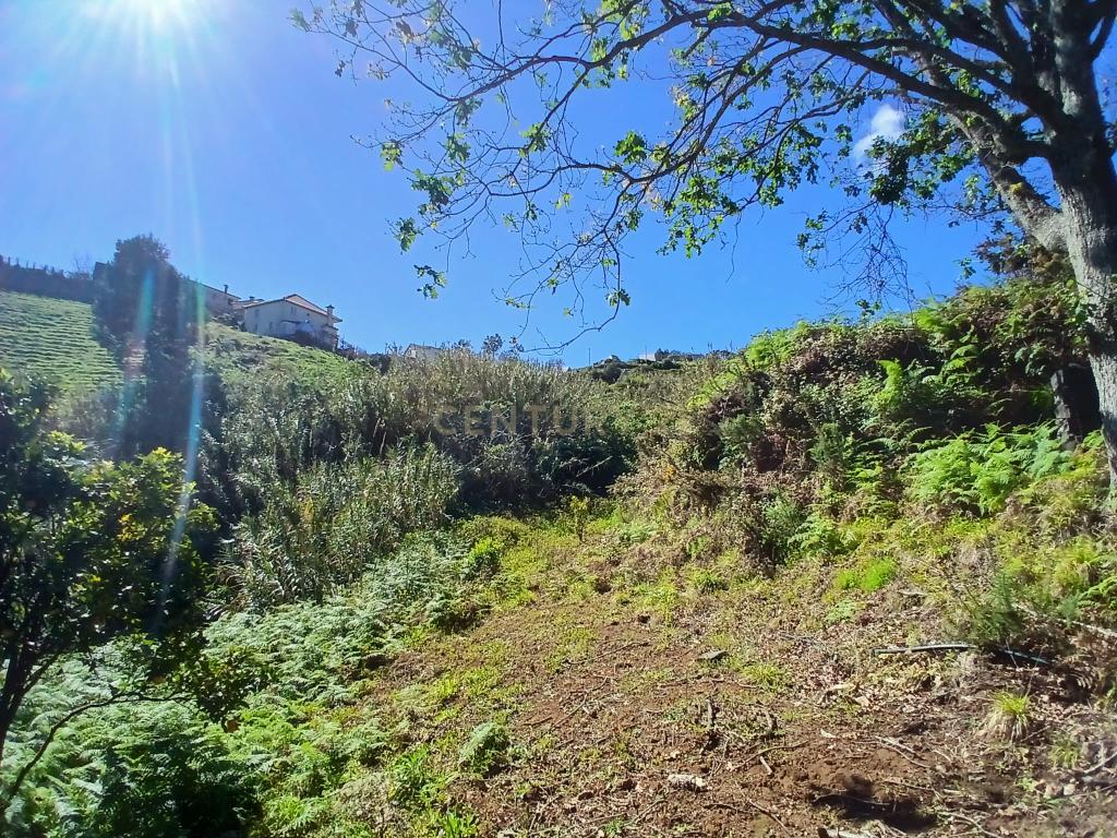 Casinha Típica de Santana, Madeira - Um Refúgio Rural com Potencial de Investimento - Image 13