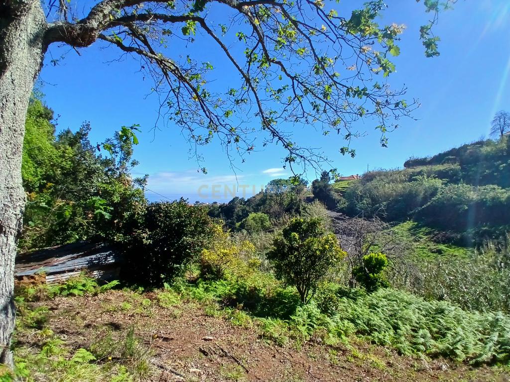 Casinha Típica de Santana, Madeira - Um Refúgio Rural com Potencial de Investimento - Image 15