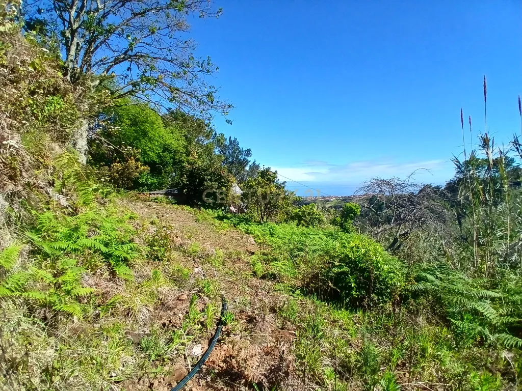 Casinha Típica de Santana, Madeira - Um Refúgio Rural com Potencial de Investimento - Image 19