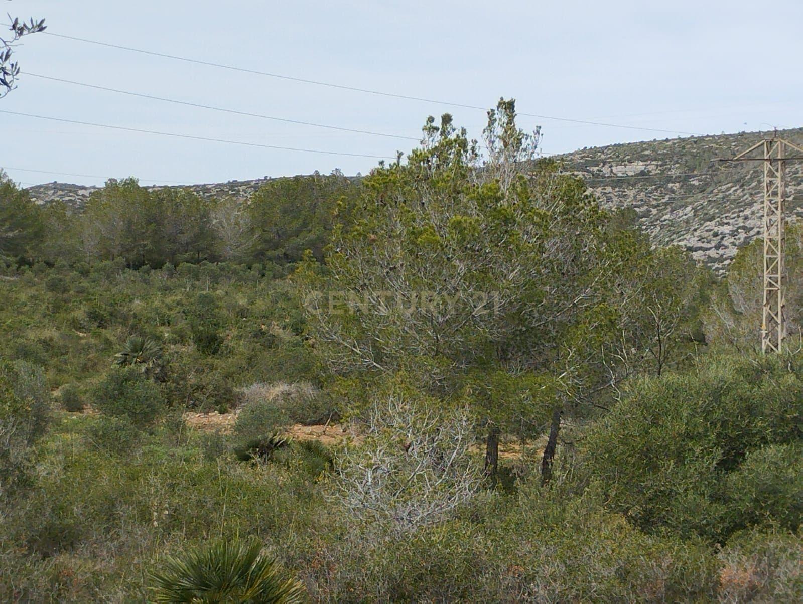 undefined - Image 17