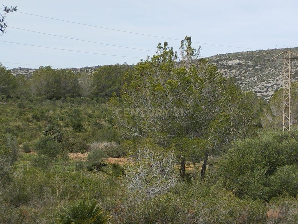 undefined - Image 17