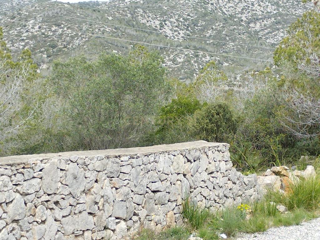 undefined - Image 2
