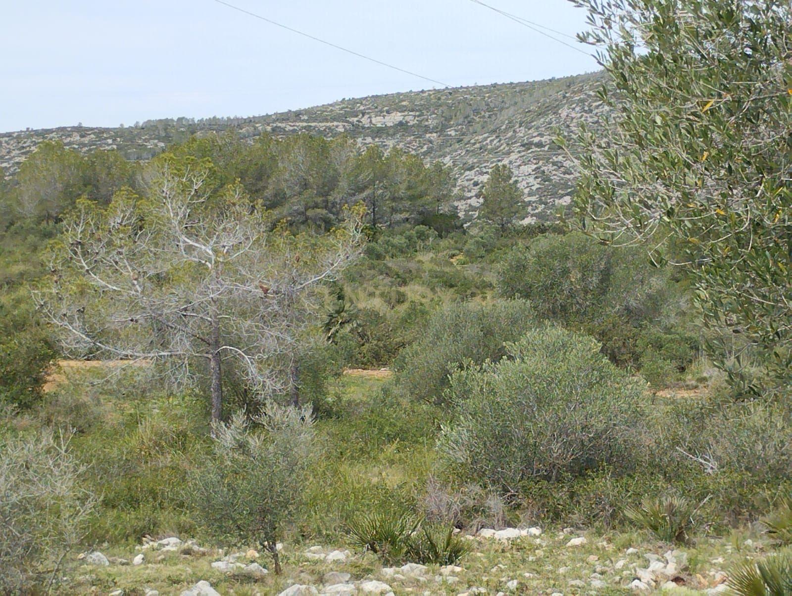 undefined - Image 7