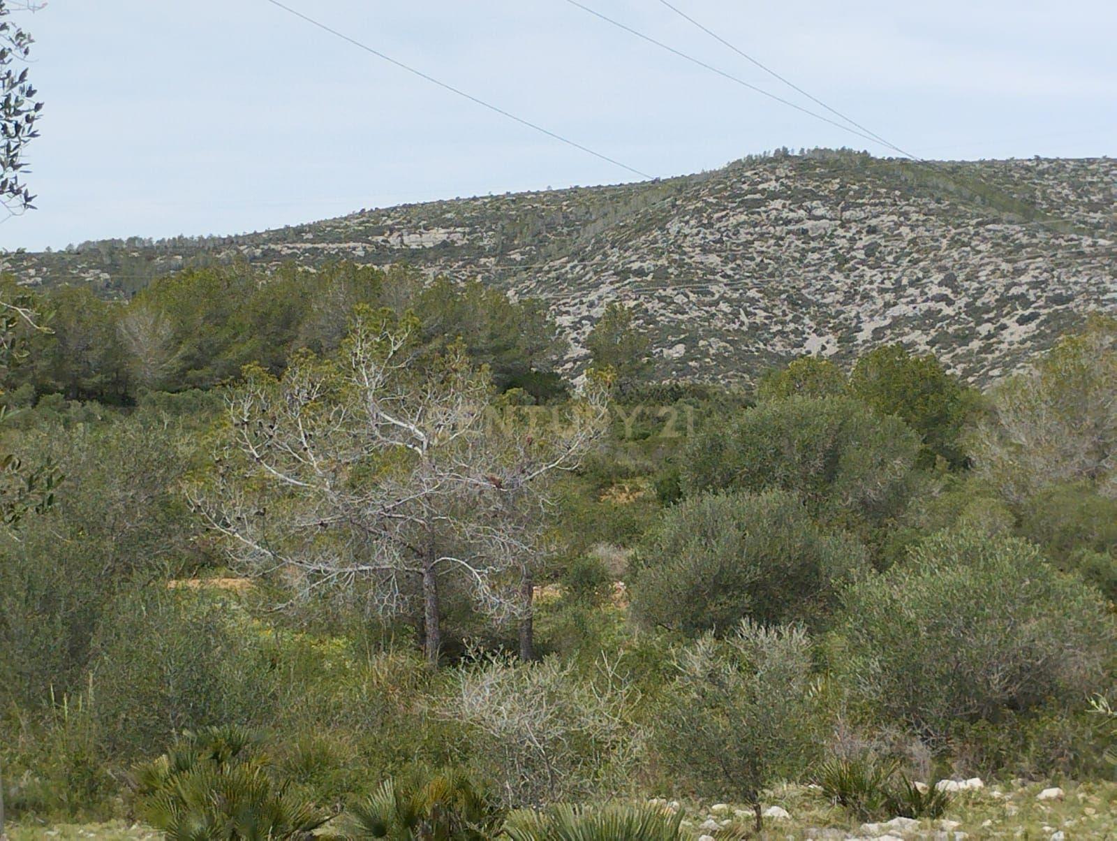 undefined - Image 18