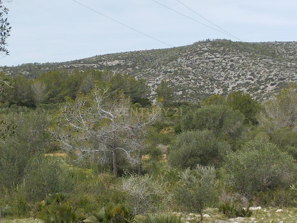 undefined - Image 18