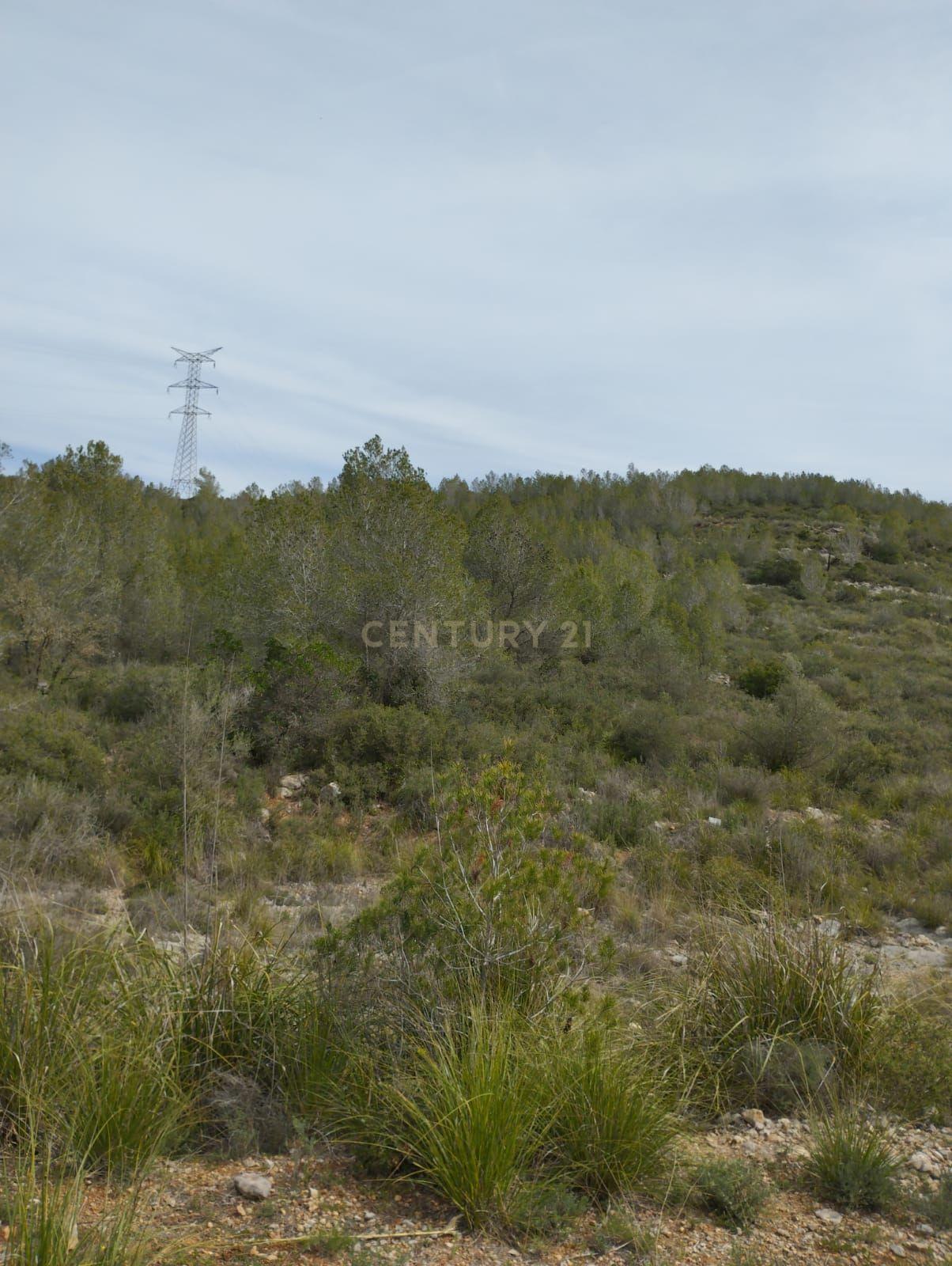 undefined - Image 23