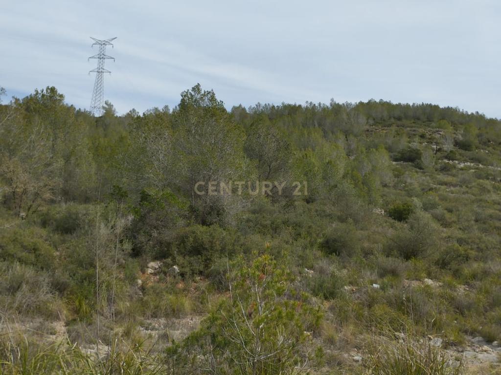 undefined - Image 23
