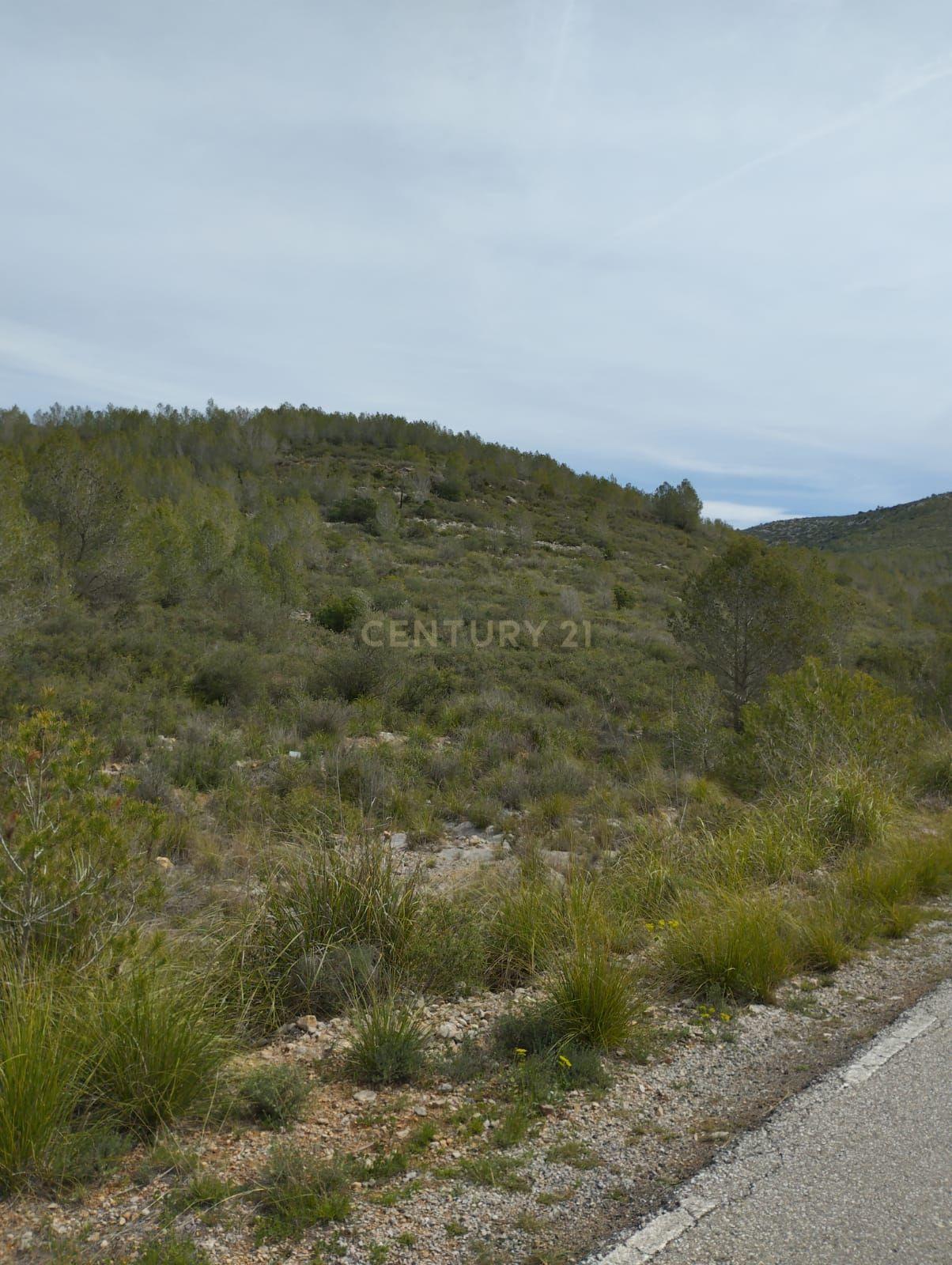 undefined - Image 8